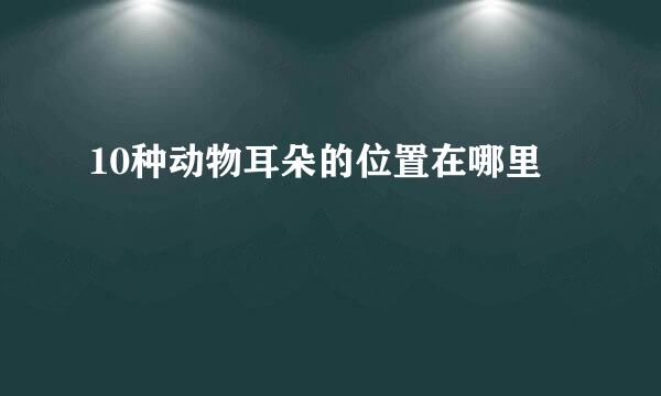10种动物耳朵的位置在哪里