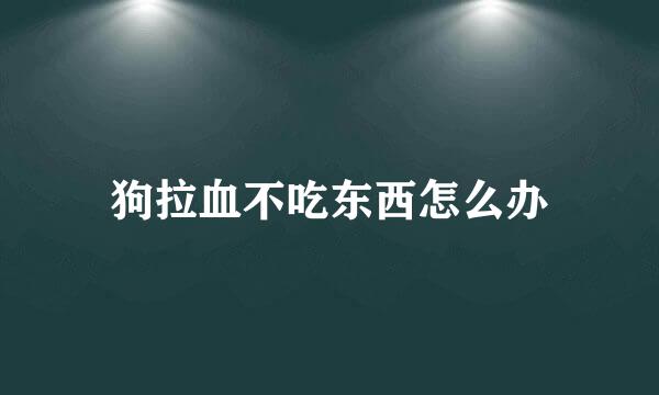 狗拉血不吃东西怎么办