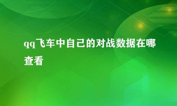 qq飞车中自己的对战数据在哪查看