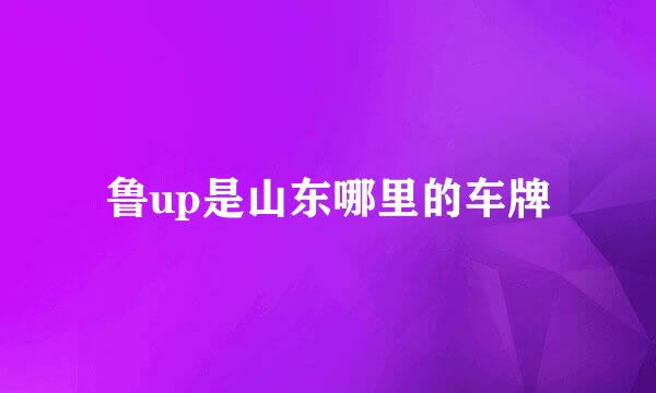 鲁up是山东哪里的车牌