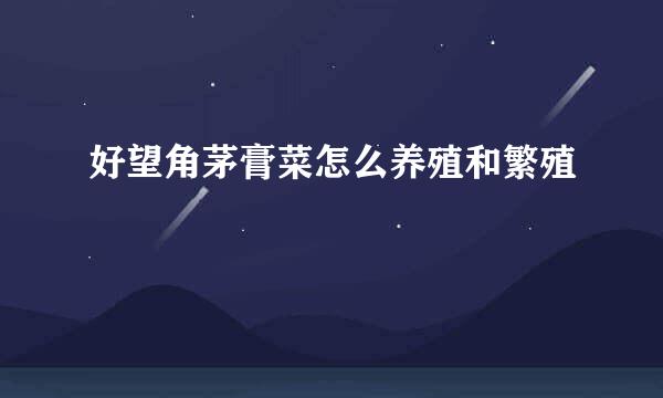 好望角茅膏菜怎么养殖和繁殖