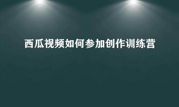 西瓜视频如何参加创作训练营