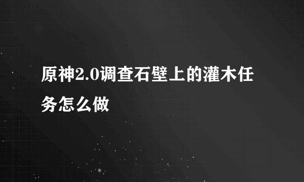 原神2.0调查石壁上的灌木任务怎么做