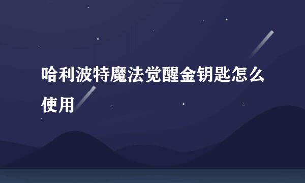 哈利波特魔法觉醒金钥匙怎么使用