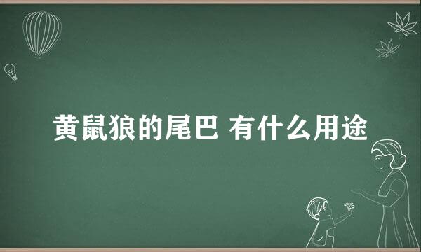 黄鼠狼的尾巴 有什么用途