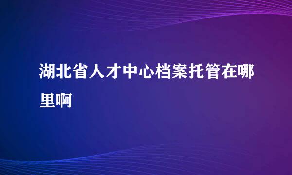 湖北省人才中心档案托管在哪里啊