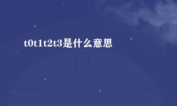 t0t1t2t3是什么意思