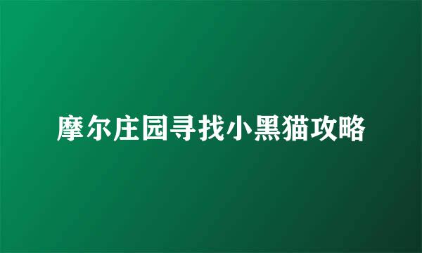 摩尔庄园寻找小黑猫攻略