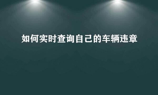 如何实时查询自己的车辆违章