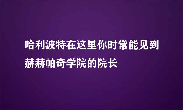 哈利波特在这里你时常能见到赫赫帕奇学院的院长