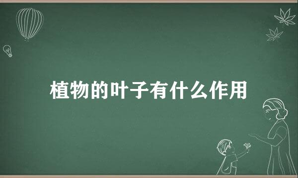 植物的叶子有什么作用