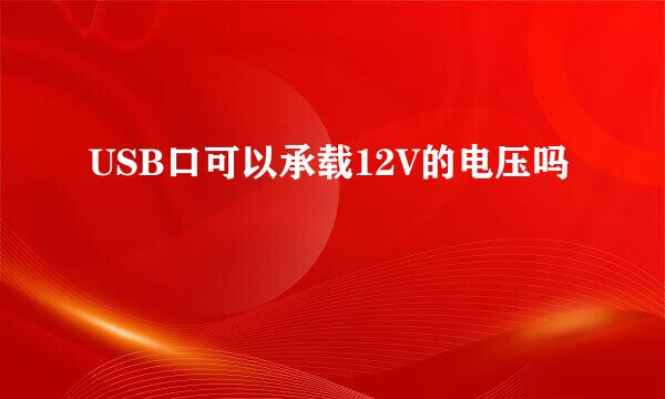 USB口可以承载12V的电压吗
