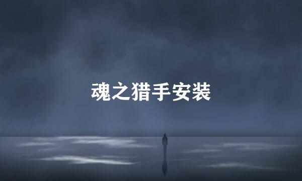 魂之猎手安装