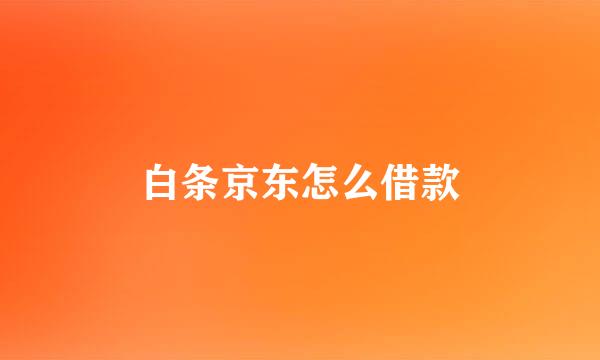 白条京东怎么借款