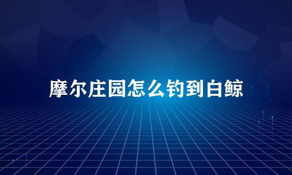摩尔庄园怎么钓到白鲸