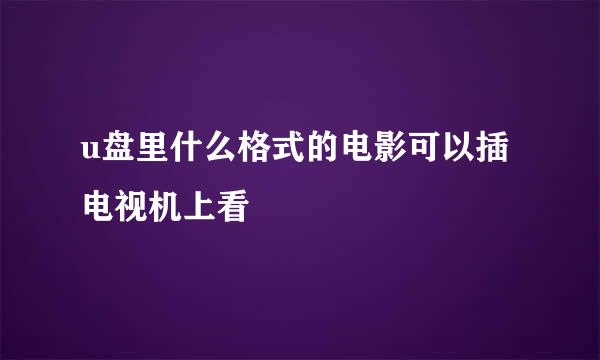 u盘里什么格式的电影可以插电视机上看