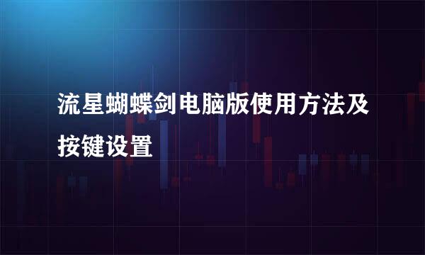 流星蝴蝶剑电脑版使用方法及按键设置