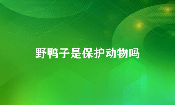 野鸭子是保护动物吗