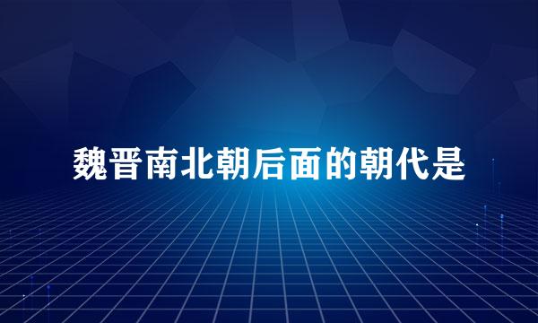 魏晋南北朝后面的朝代是