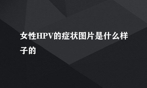 女性HPV的症状图片是什么样子的