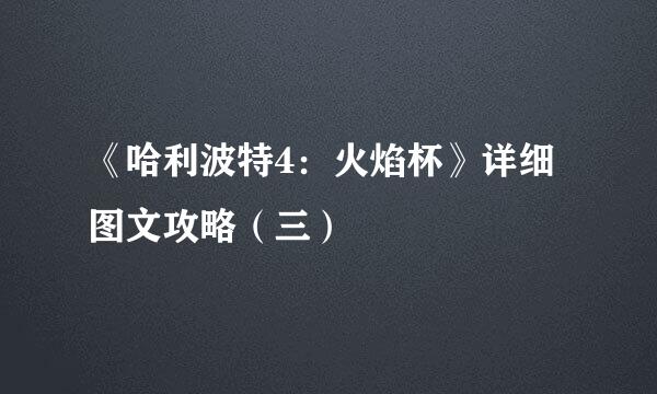 《哈利波特4：火焰杯》详细图文攻略（三）