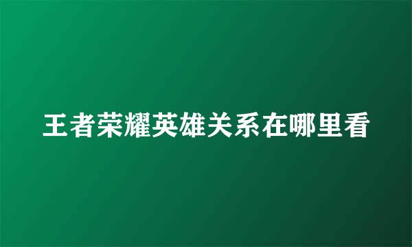 王者荣耀英雄关系在哪里看