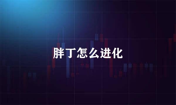 胖丁怎么进化