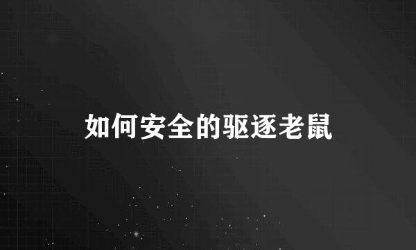 如何安全的驱逐老鼠