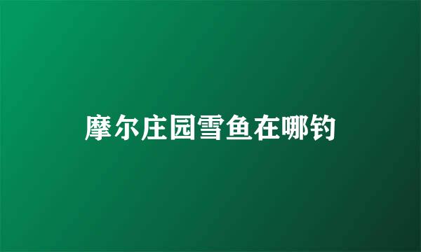 摩尔庄园雪鱼在哪钓