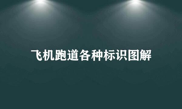 飞机跑道各种标识图解