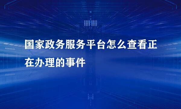 国家政务服务平台怎么查看正在办理的事件