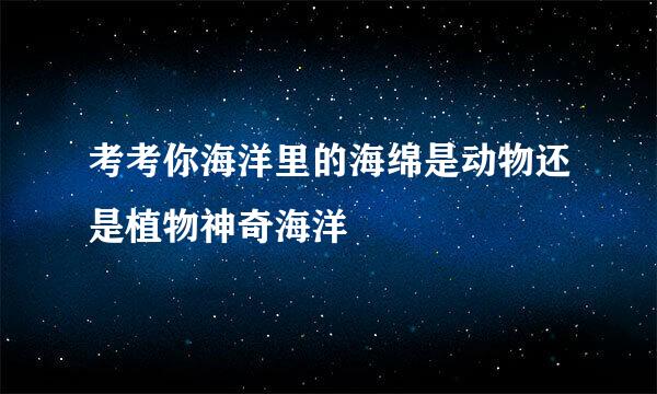 考考你海洋里的海绵是动物还是植物神奇海洋