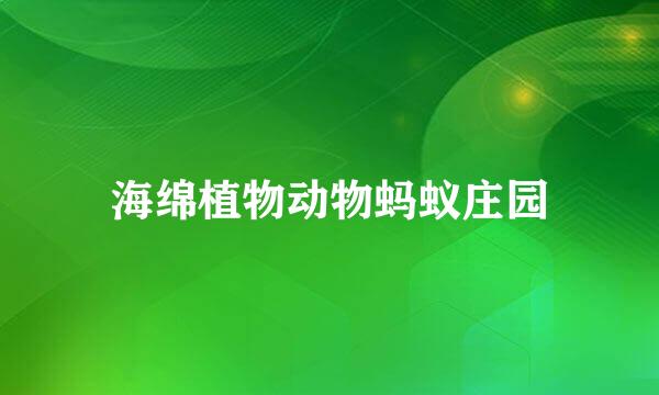 海绵植物动物蚂蚁庄园