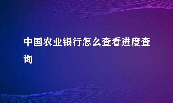 中国农业银行怎么查看进度查询