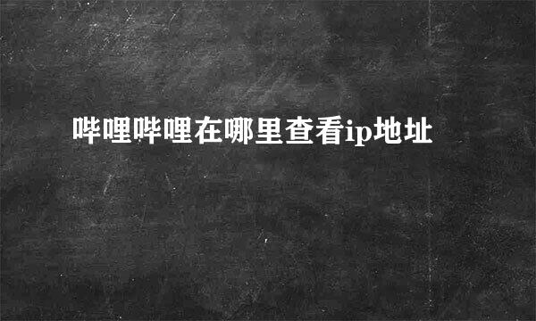 哔哩哔哩在哪里查看ip地址