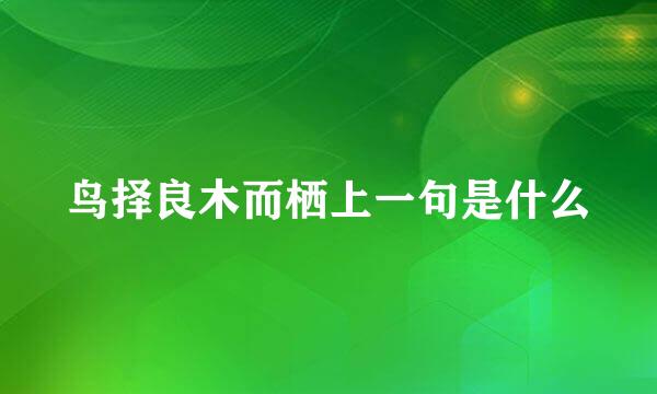鸟择良木而栖上一句是什么