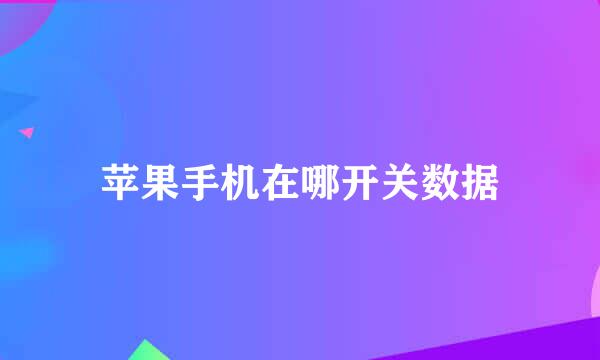 苹果手机在哪开关数据