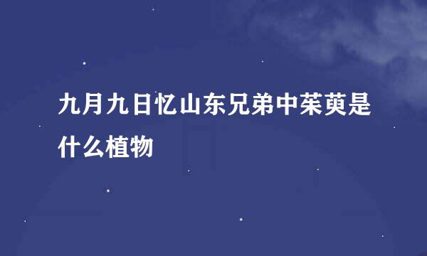 九月九日忆山东兄弟中茱萸是什么植物
