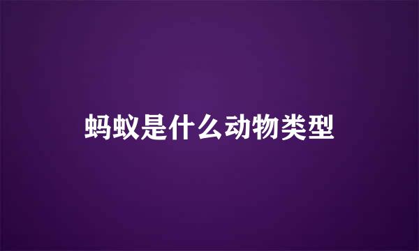 蚂蚁是什么动物类型