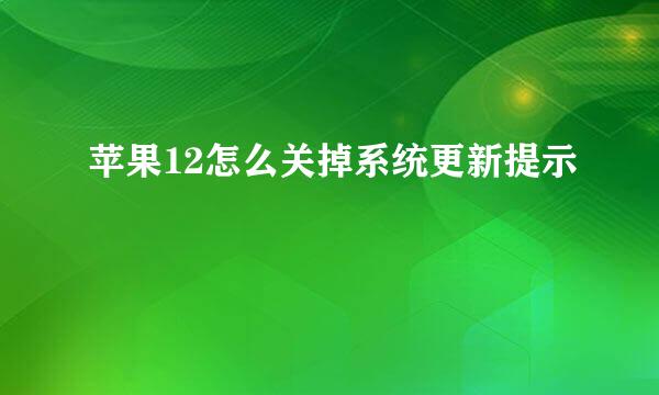 苹果12怎么关掉系统更新提示