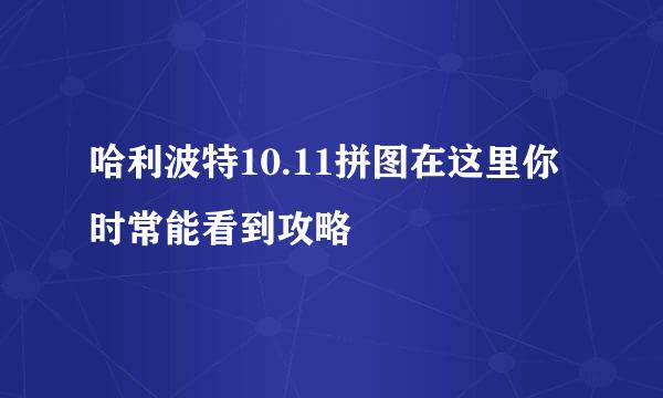 哈利波特10.11拼图在这里你时常能看到攻略
