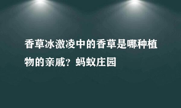 香草冰激凌中的香草是哪种植物的亲戚？蚂蚁庄园