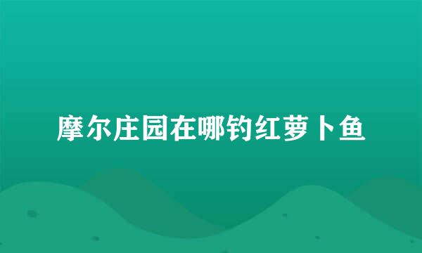 摩尔庄园在哪钓红萝卜鱼