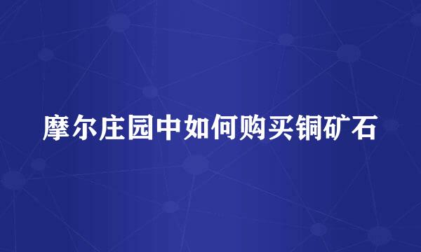 摩尔庄园中如何购买铜矿石