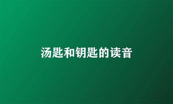 汤匙和钥匙的读音