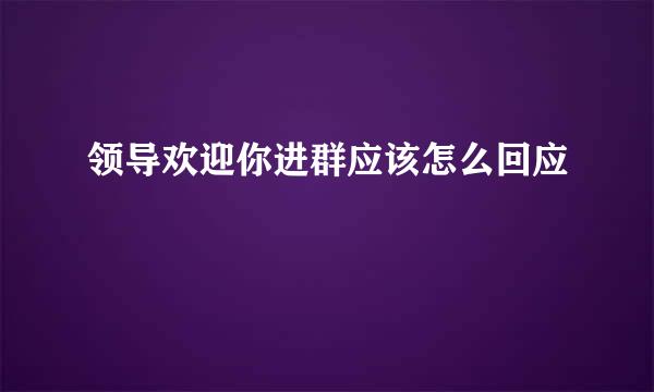 领导欢迎你进群应该怎么回应