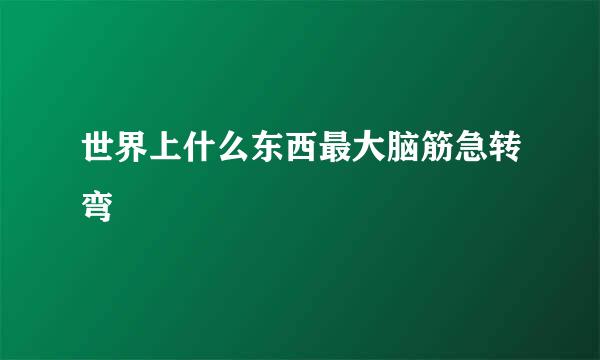 世界上什么东西最大脑筋急转弯