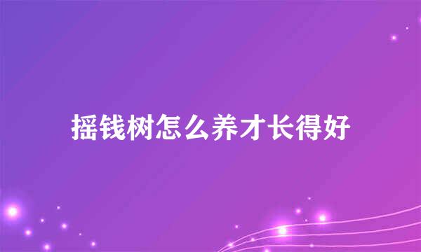 摇钱树怎么养才长得好