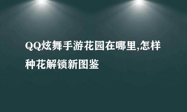 QQ炫舞手游花园在哪里,怎样种花解锁新图鉴