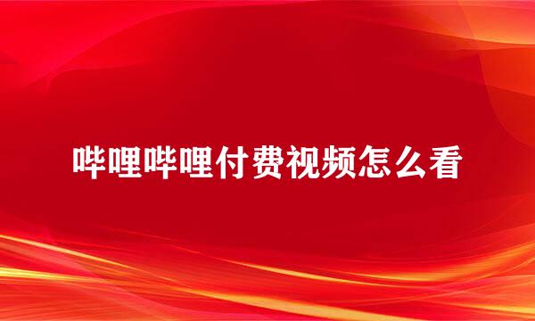 哔哩哔哩付费视频怎么看